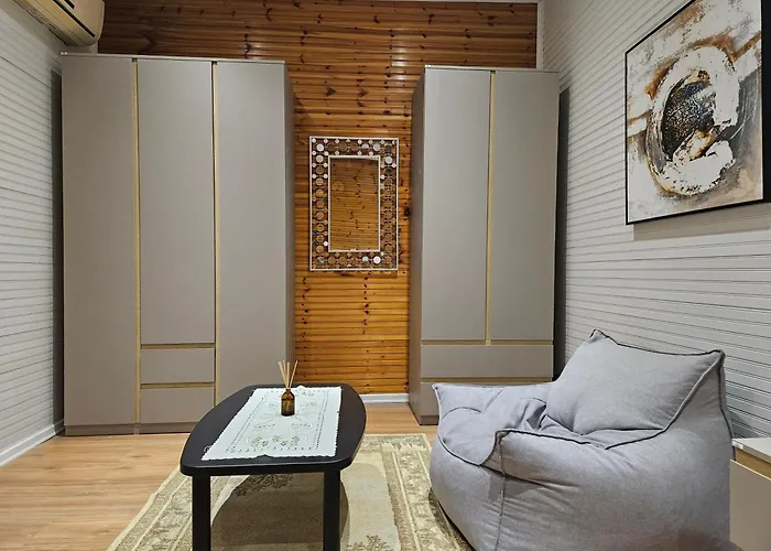 Studio Apartment Near Pazari Ri