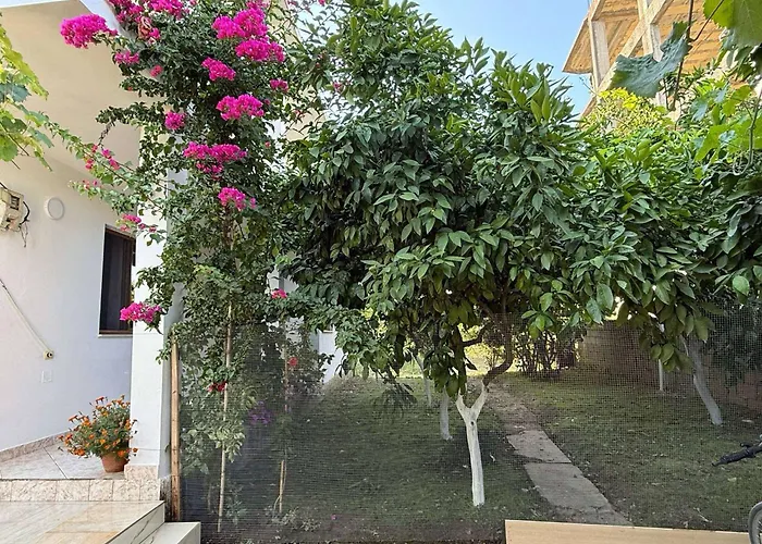 Guest House Tirana