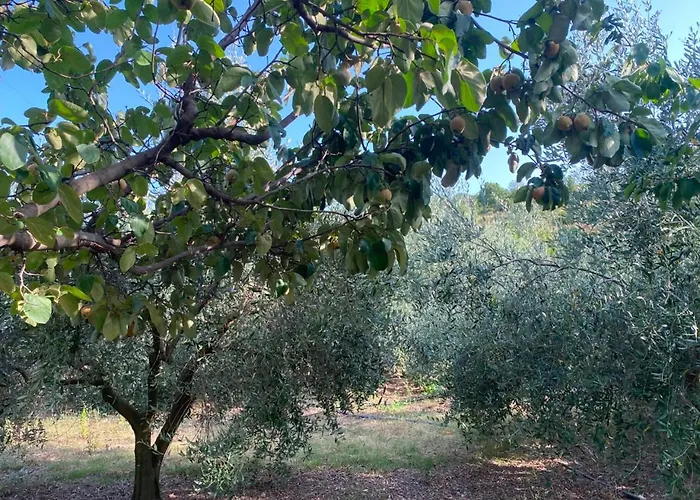 Nature Escape In An Albanian Village Near Tirana